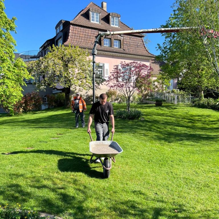 Objektbetreuung und Grünpflege durch das Bären-Team